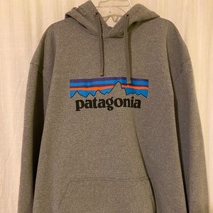 Gray Patagonia sweatshirt